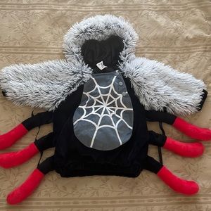 Spider Halloween Costume